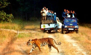 Corbett Special Tour
